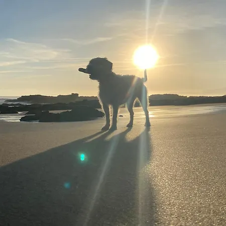 Apartment Respirando Salitre, En Llastres